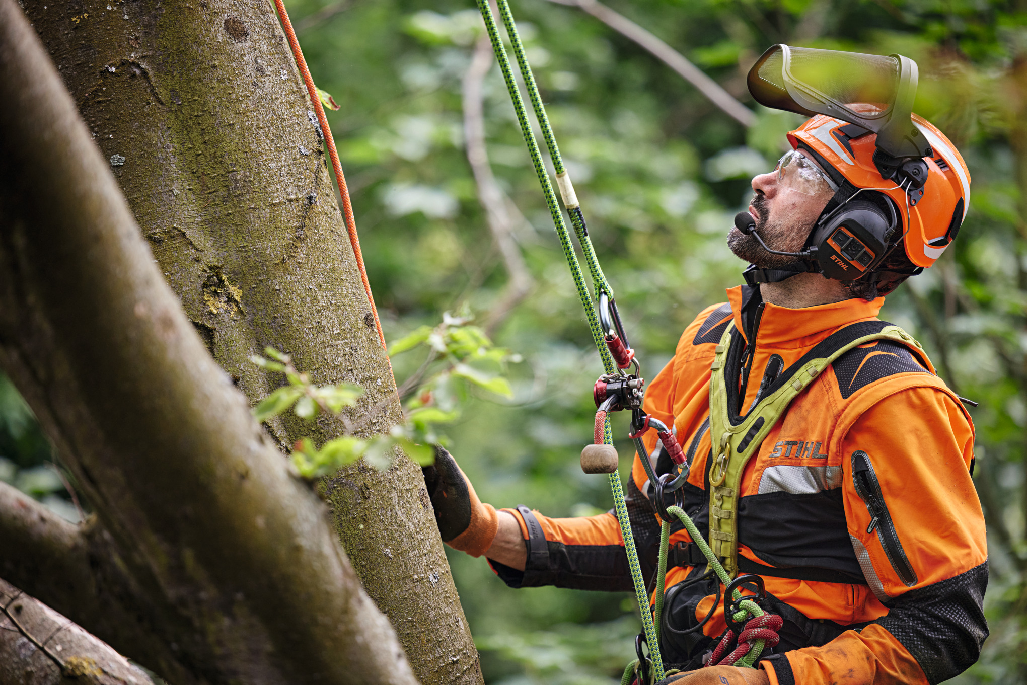Ένας επαγγελματίας υλοτόμος αιωρείται δεμένος με ζώνη ασφαλείας σε ένα φυλλοβόλο δέντρο