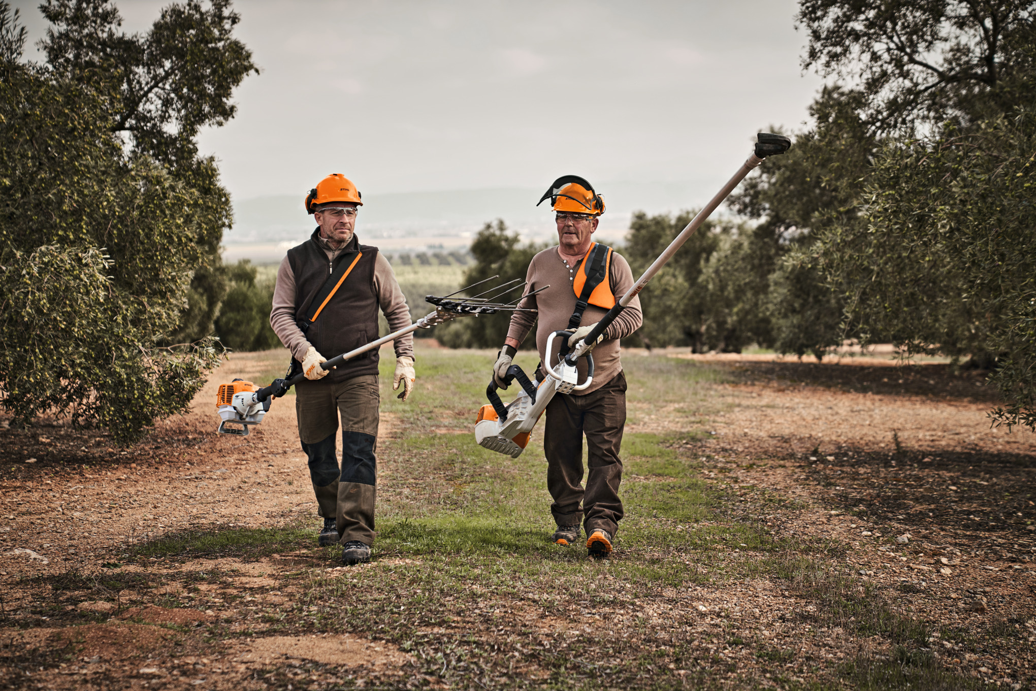 Δύο αγρότες με ελαιοραβδιστικά STIHL με χτένια και γάντζο