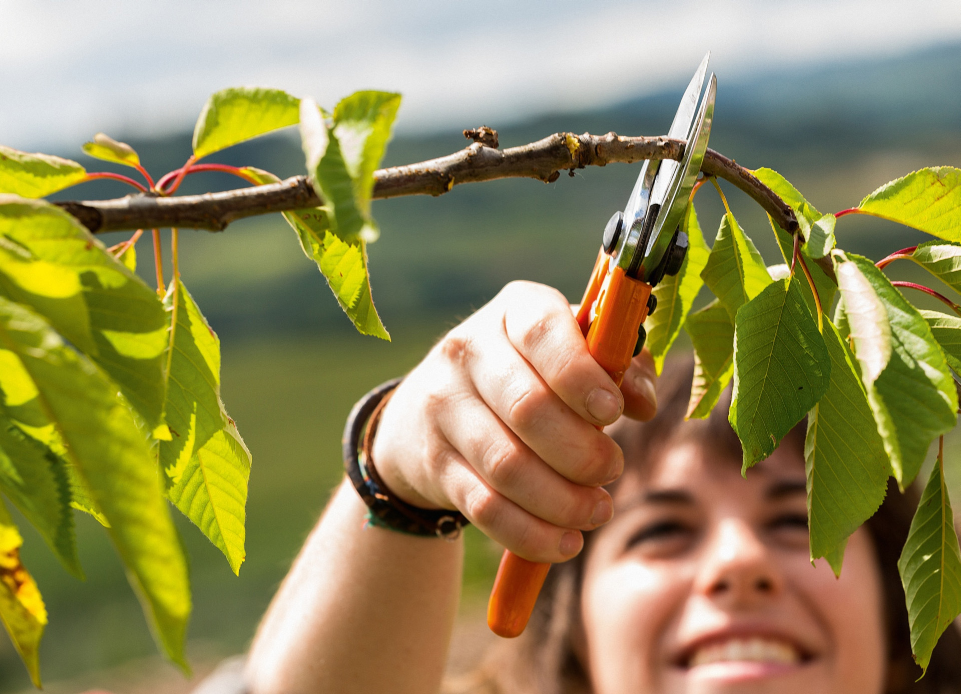 A woman smiles as she prunes a small branch of a fruit tree