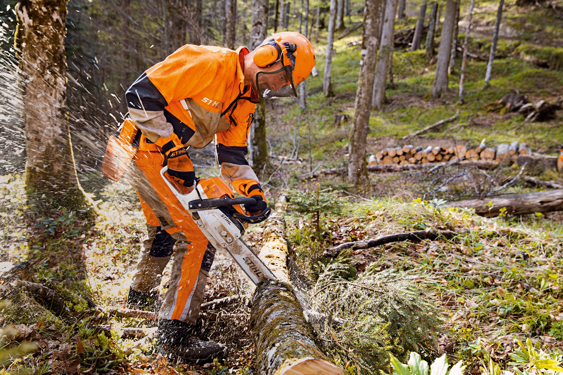 Δασικός εργάτης με προστατευτική ενδυμασία STIHL και παντελόνι Dynamic Vent (κατηγορία προστασίας κοπής 1) κόβει δέντρο στο δάσος με μηχανοκίνητο αλυσοπρίονο STIHL
