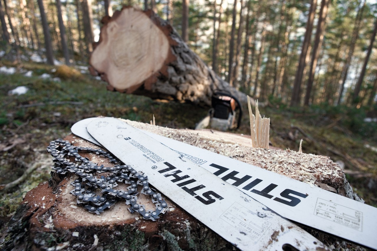 Αλυσίδες πριονιού STIHL και λάμες σε έναν κορμό δέντρου στο δάσος, ένα φρεσκοκομμένο δέντρο στο φόντο 