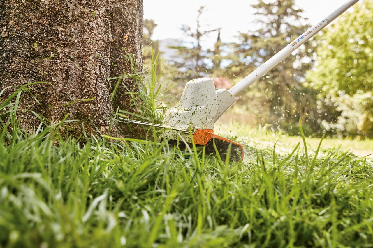  Trimming the lawn around a tree with the STIHL FS 57 cordless brush cutter