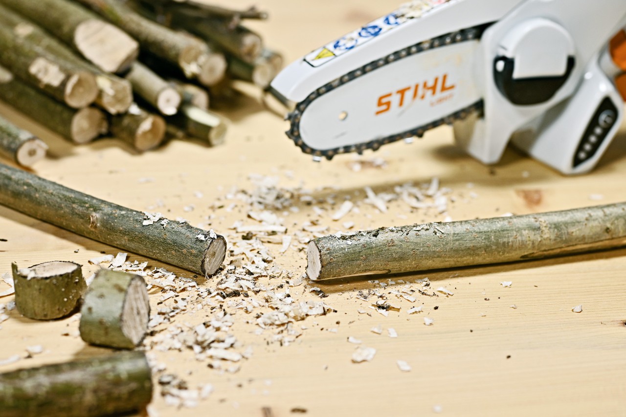 A branch for home decor after being cut with a STIHL GTA 26 cordless pruning saw
