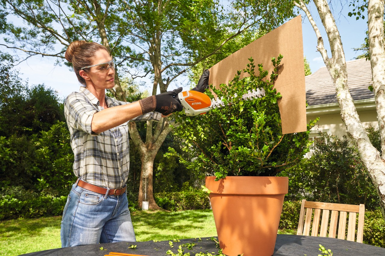 A woman is trimming the boxwood into a spherical shape using the STIHL HSA 26 cordless hedge trimmer and a cardboard template
